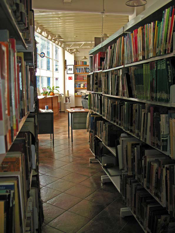 revista